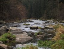 S�zava - Stvo�idla