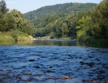 Vset�nsk� Be�va