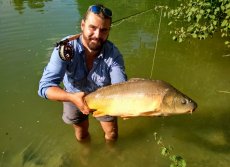 Carp Fly Fishing - Tips & Tricks