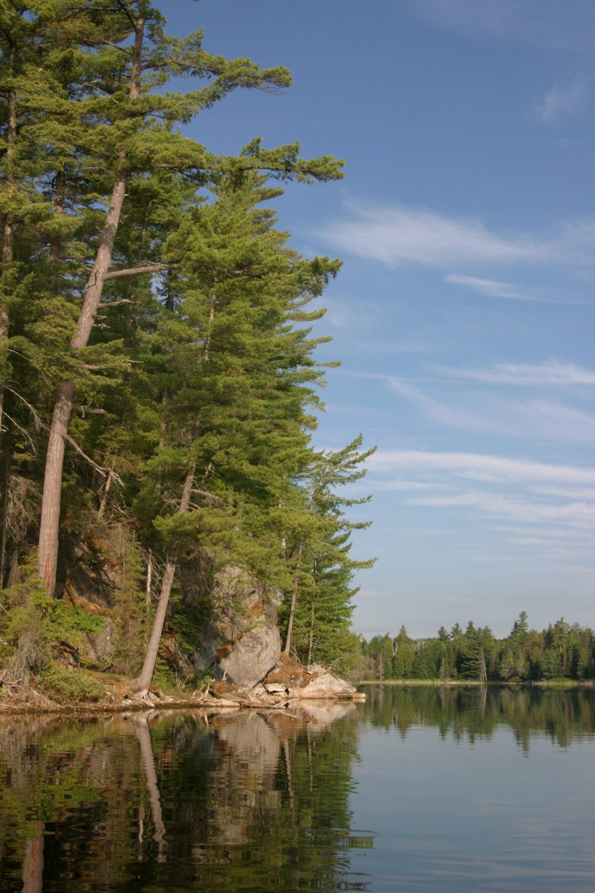 Picturesque Pine Point