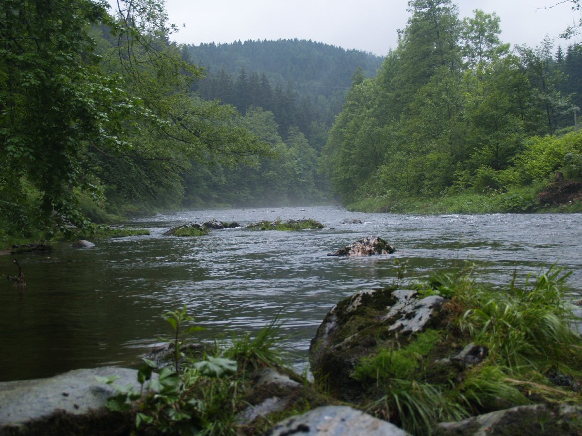 Jizera in the morning