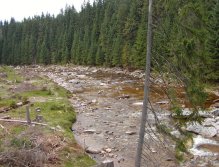 Upper Jizera near Kořenov