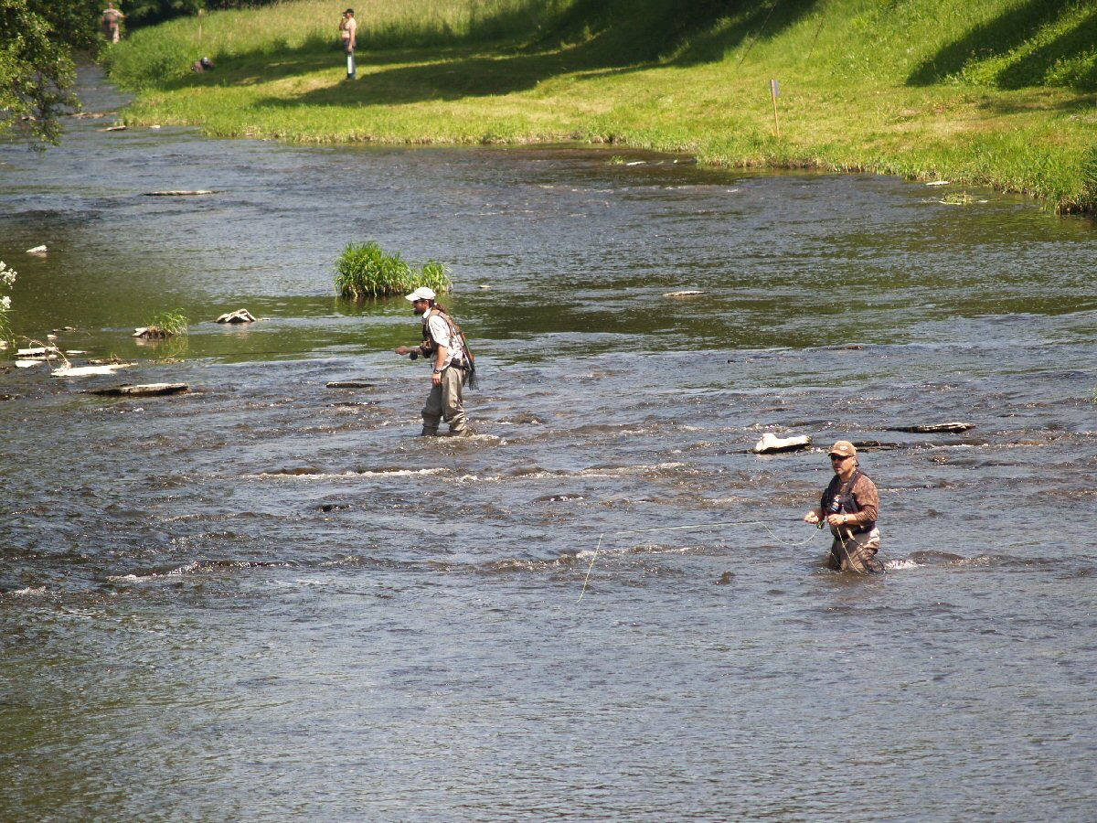 Competition in Divok� Orlice