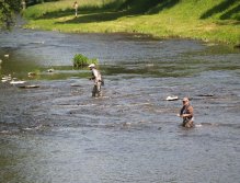 Competition in Divoká Orlice