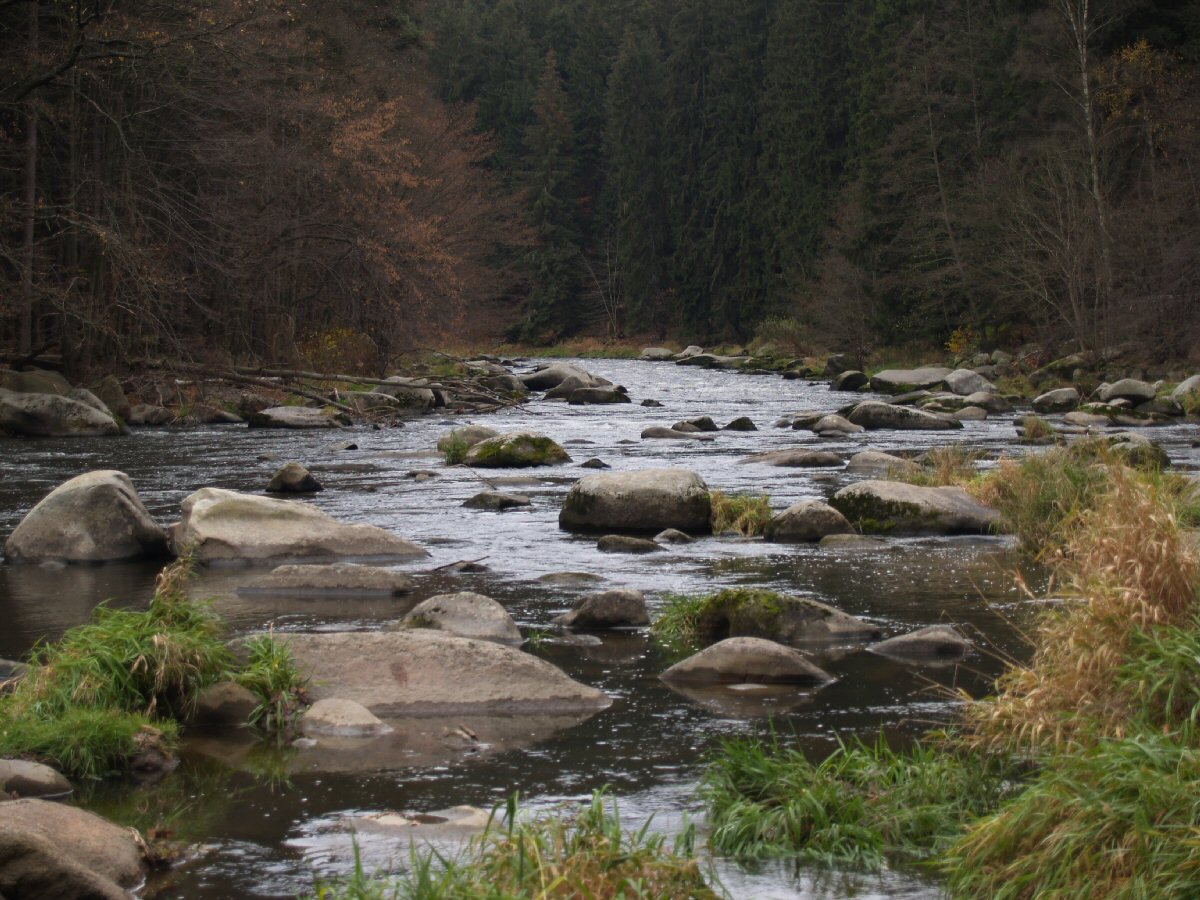 S�zava - Stvo�idla