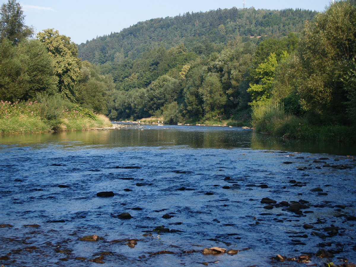 Be�va vset�nsk�