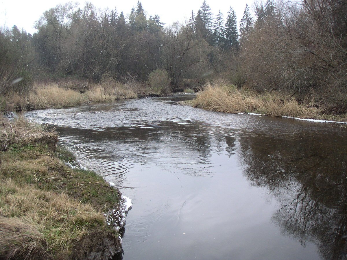 First snow in Upper Vltava