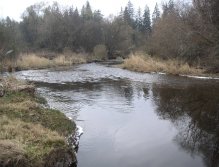 First snow in Upper Vltava