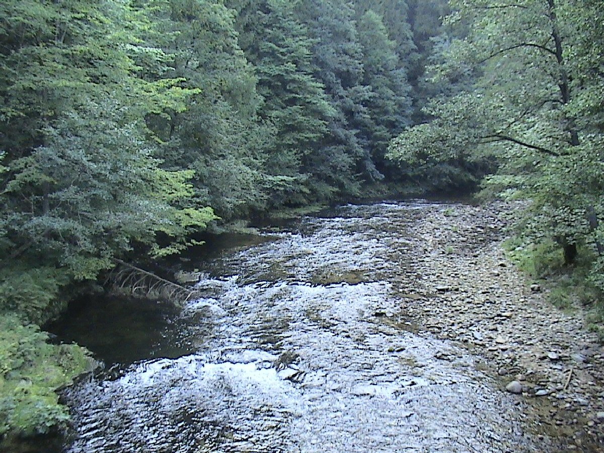 Jizera near Marikov village