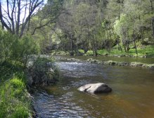 Vltava near Vyšší Brod