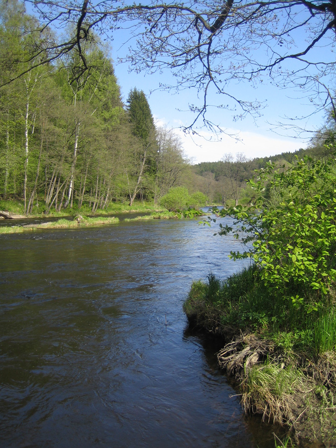 Vltava near Vy��� Brod
