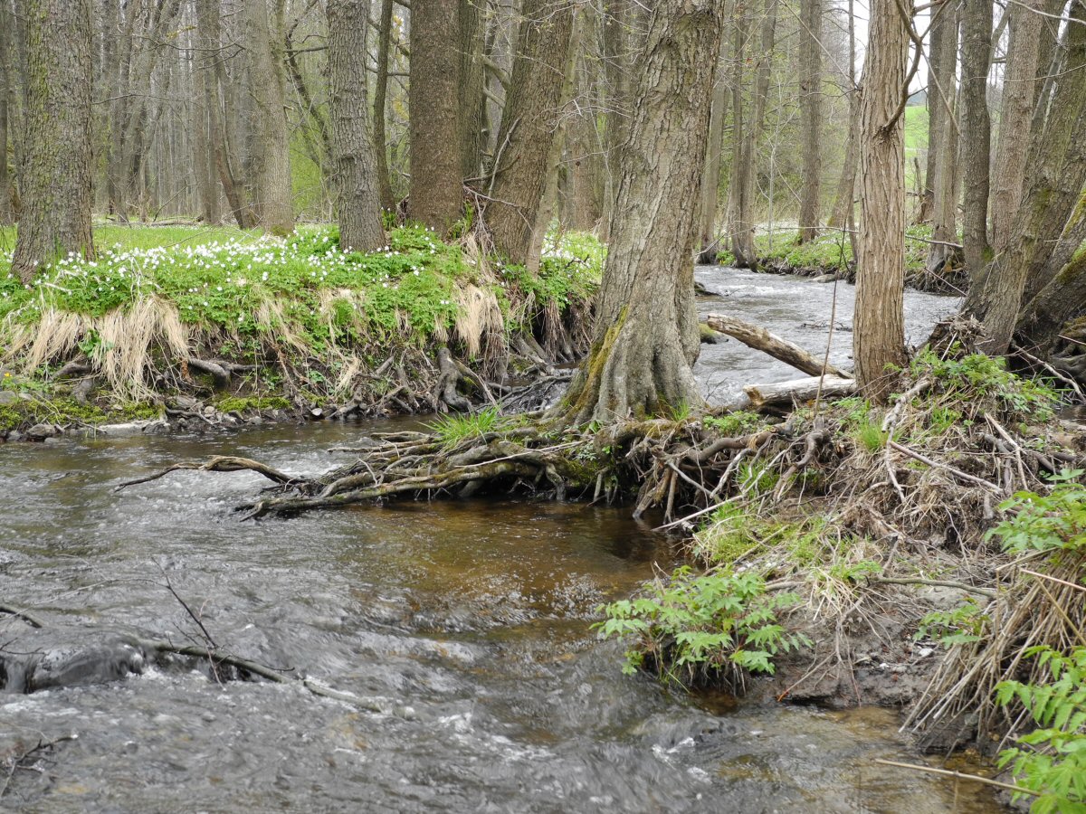 M�e above the Lucina dam
