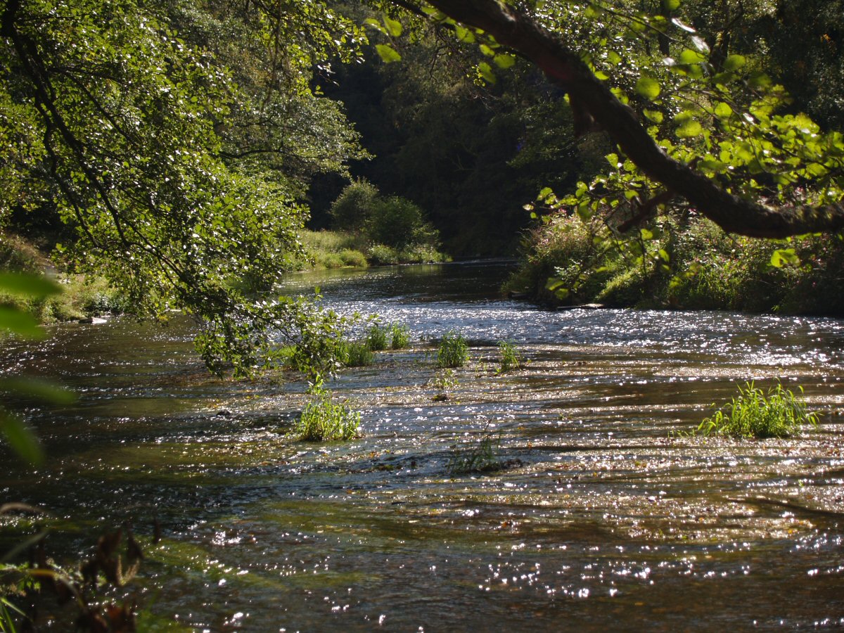 M�e near O�el�n