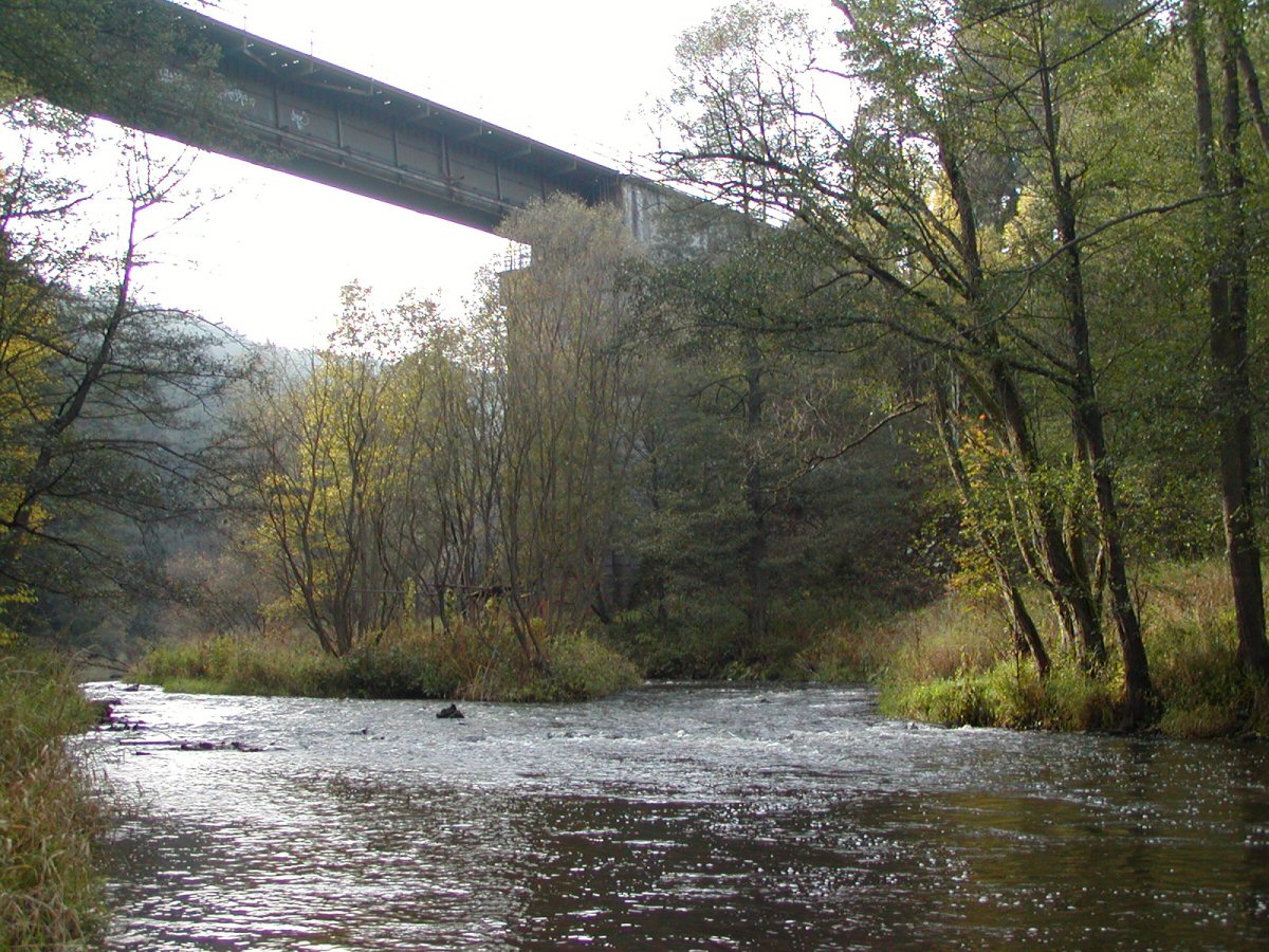 M�e near O�el�n