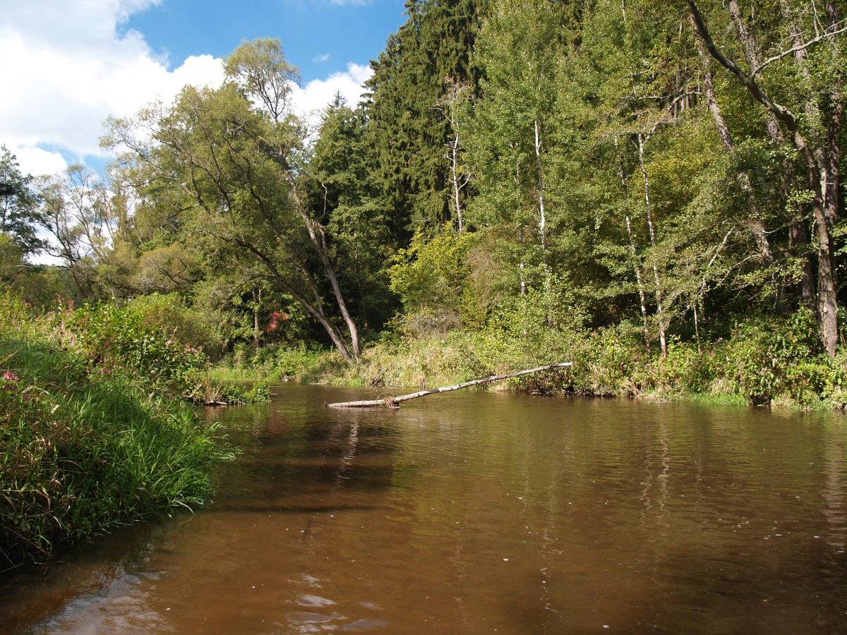 M�e near O�el�n