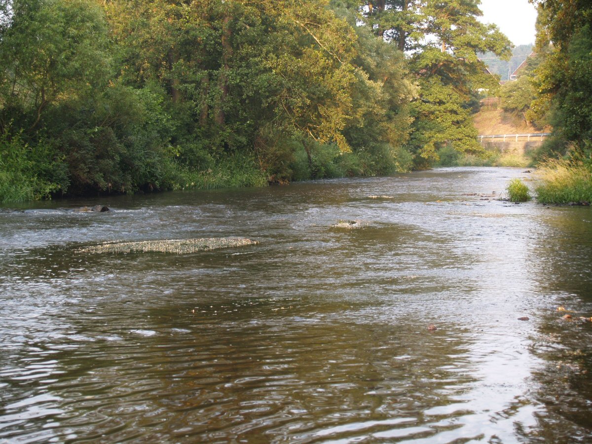 M�e near Svoj��n