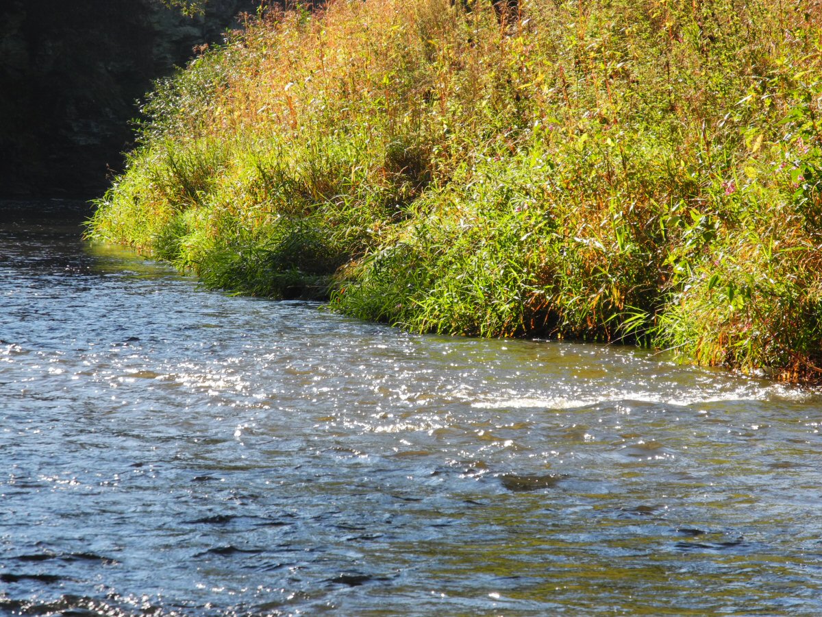 M�e near Svoj��n