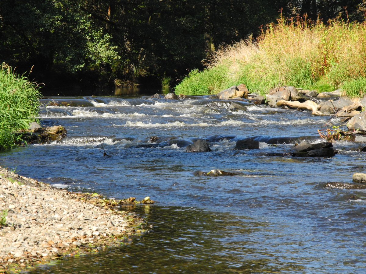 M�e near Svoj��n