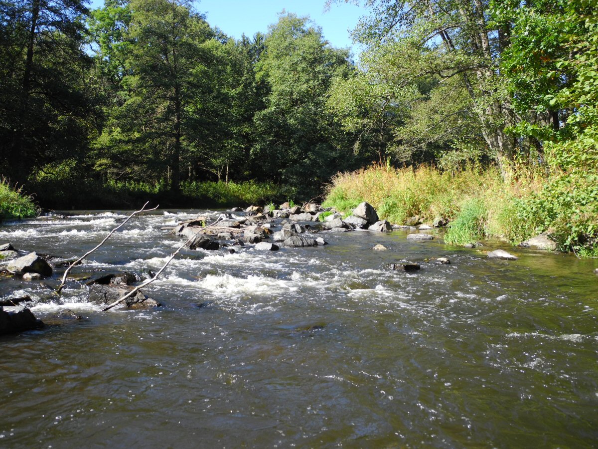 M�e near Svoj��n