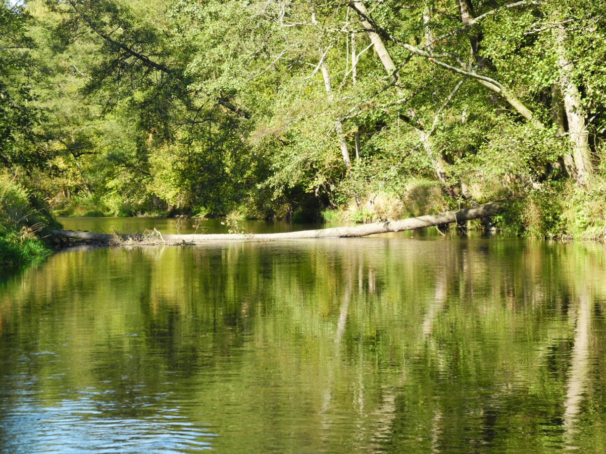 M�e near Svoj��n