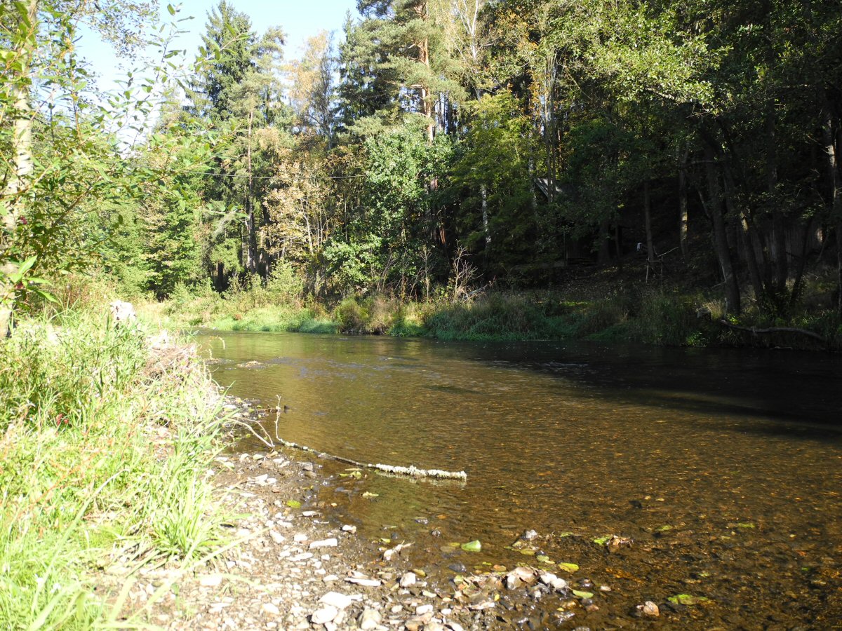 M�e near Svoj��n