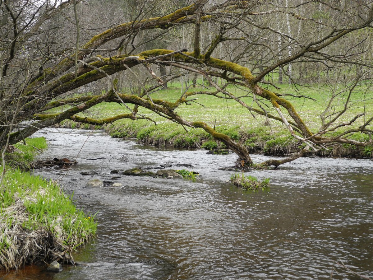 M�e above the Lucina dam