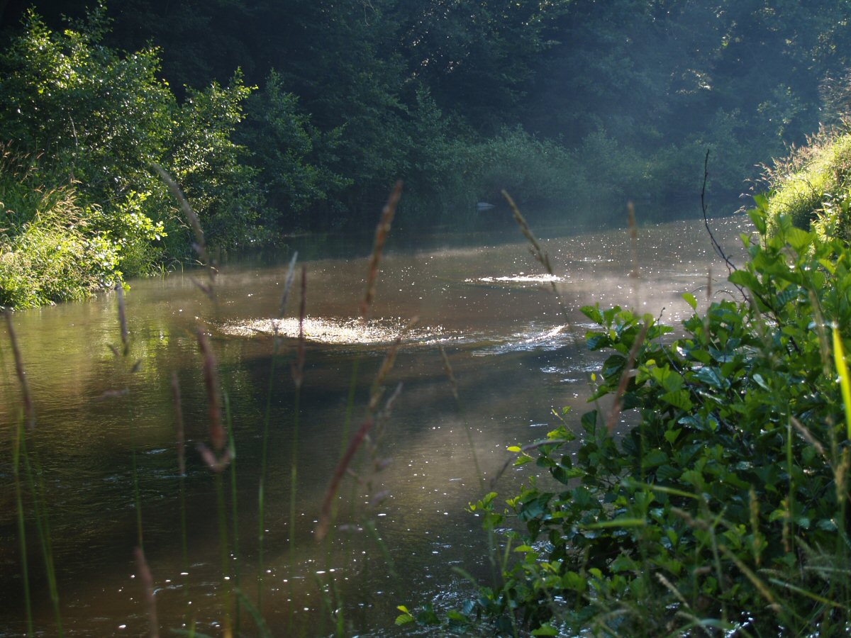 M�e near St��bro