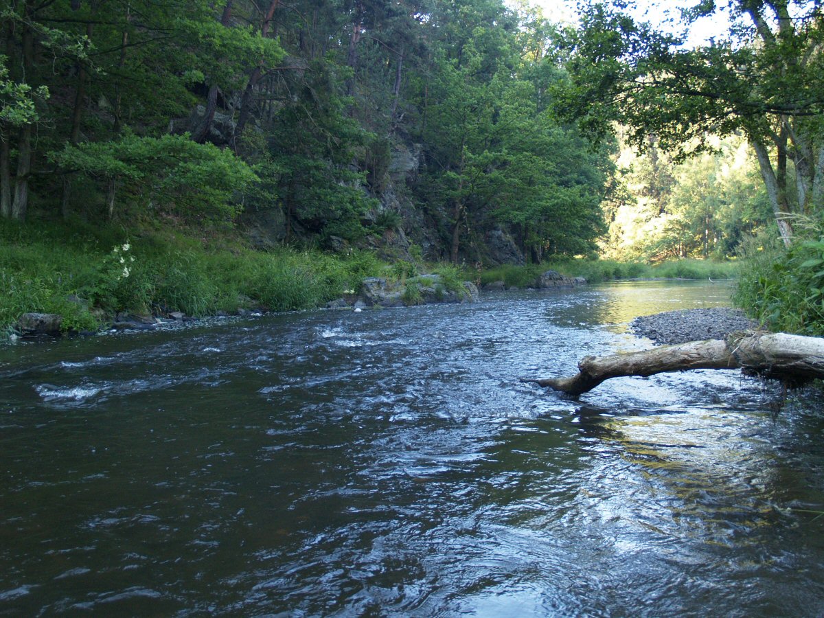 M�e near St��bro