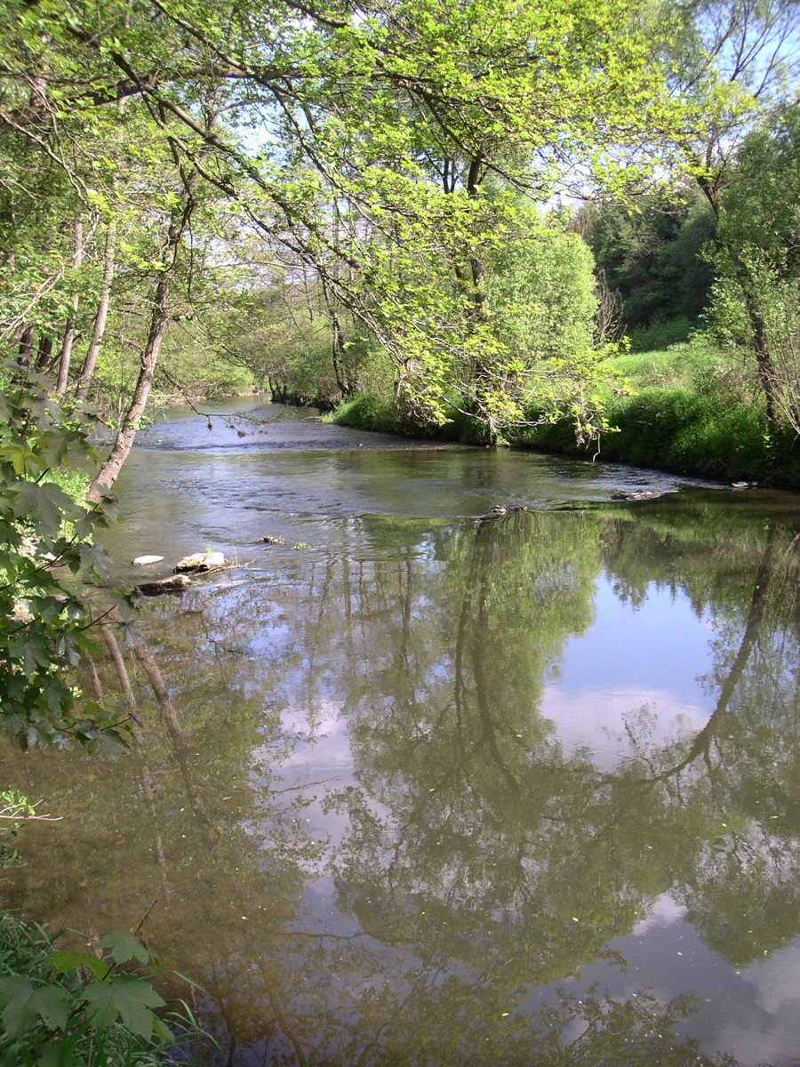 M�e below Hracholusky dam