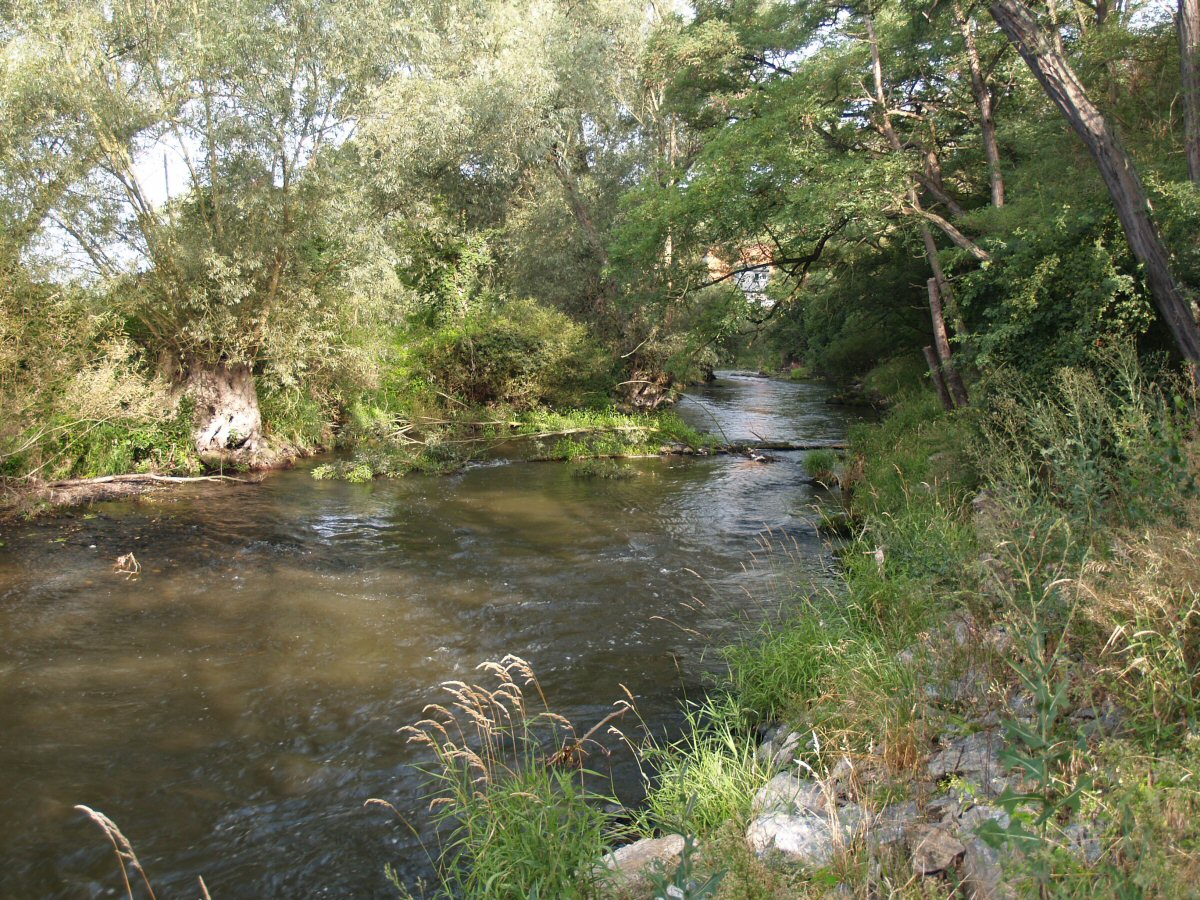 M�e near Rad�ice