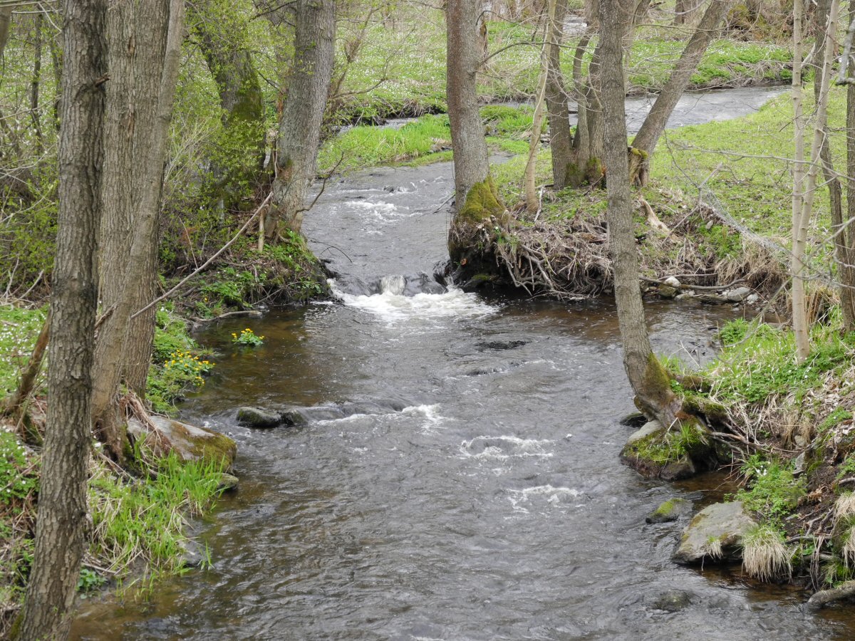 M�e above the Lucina dam