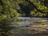 Mze river, Czech Republic