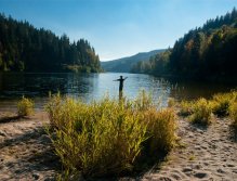 Fly Fisherman casting