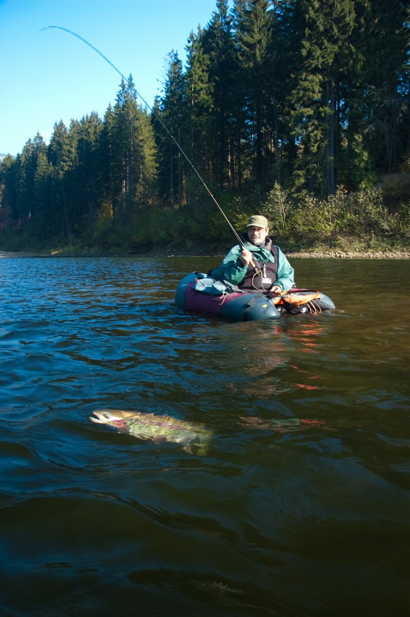 Rainbow and Fly Fisherman in the Belly Boat