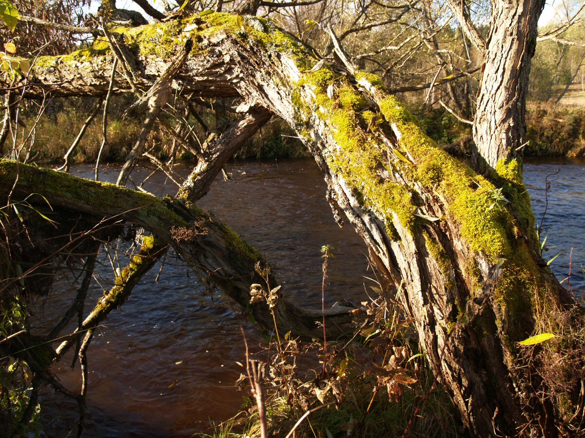 Rememering the old times...