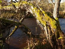 Rememering the old times...