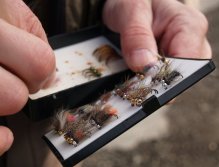 Selecting the right fly
