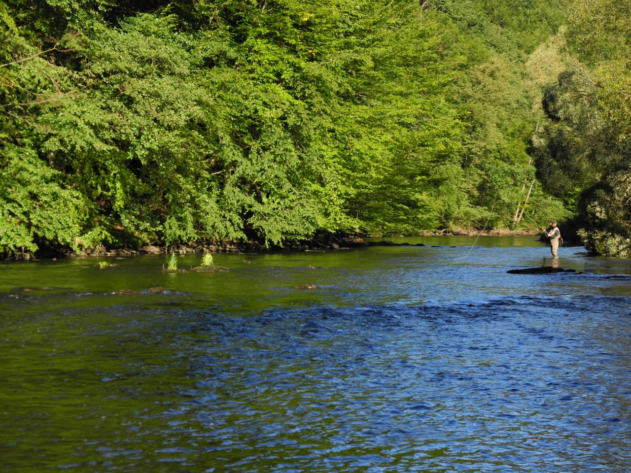 Dyje below Vranov nad Dyj�