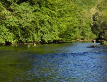 Dyje below Vranov nad Dyjí