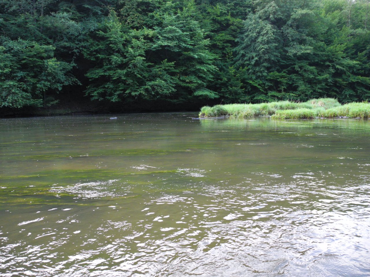 Dyje below Podmol�