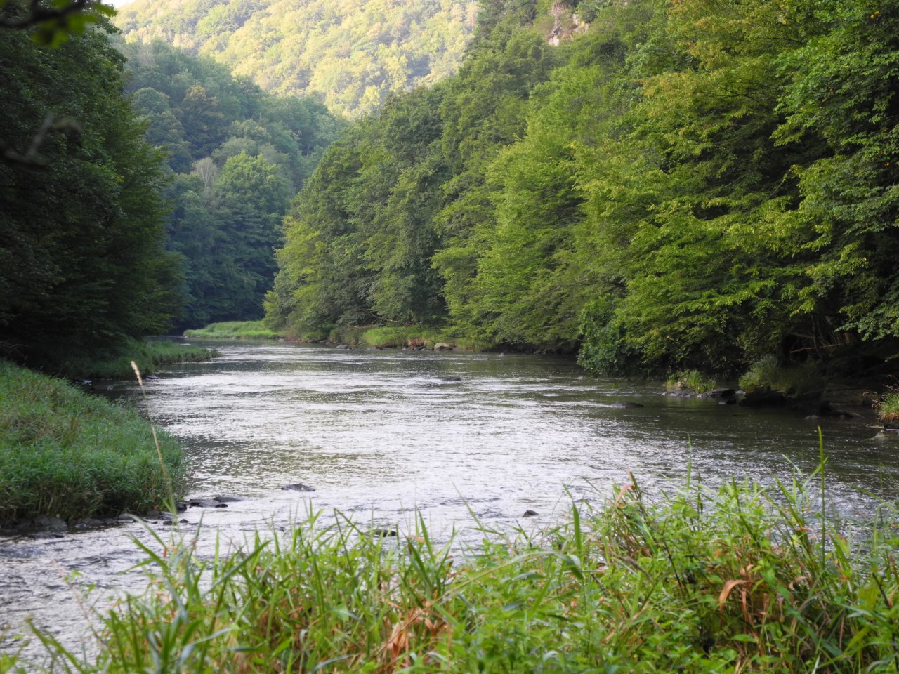 Dyje below Podmol�