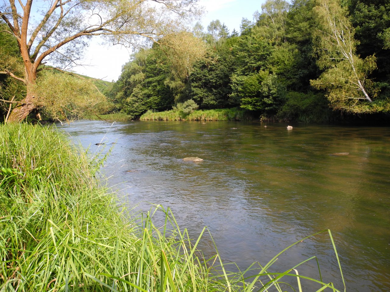 Dyje below Podmol�