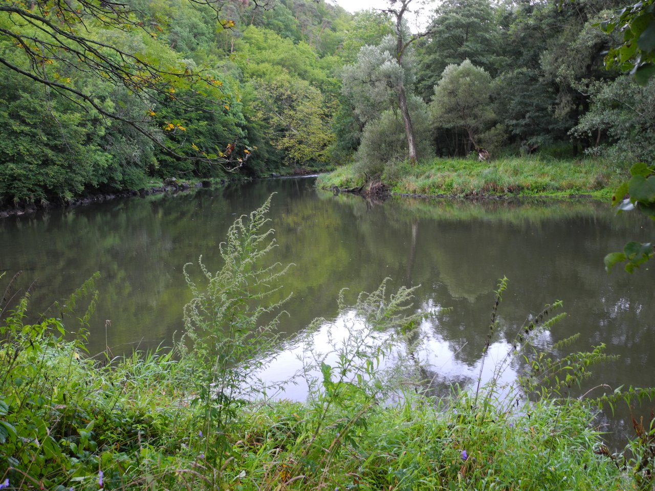 Deep pool below Vranov nad Dyj�