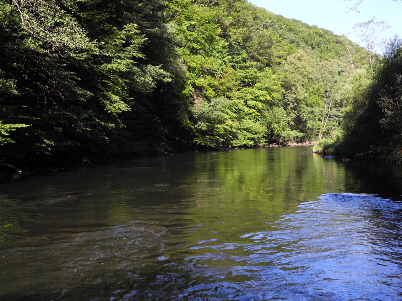 Dyje below Vranov nad Dyj�