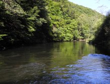 Dyje below Vranov nad Dyjí