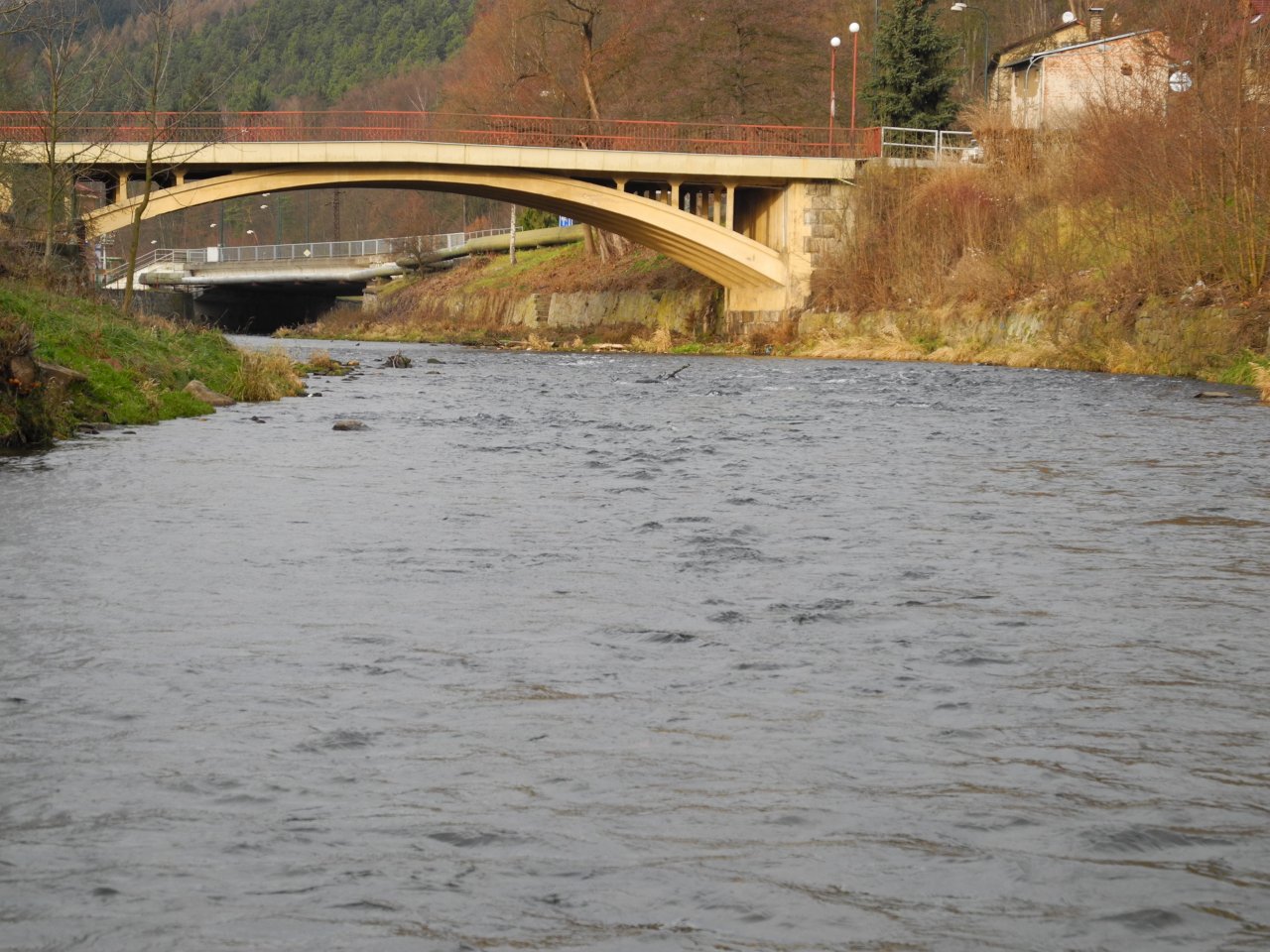 Bridget across Upa river