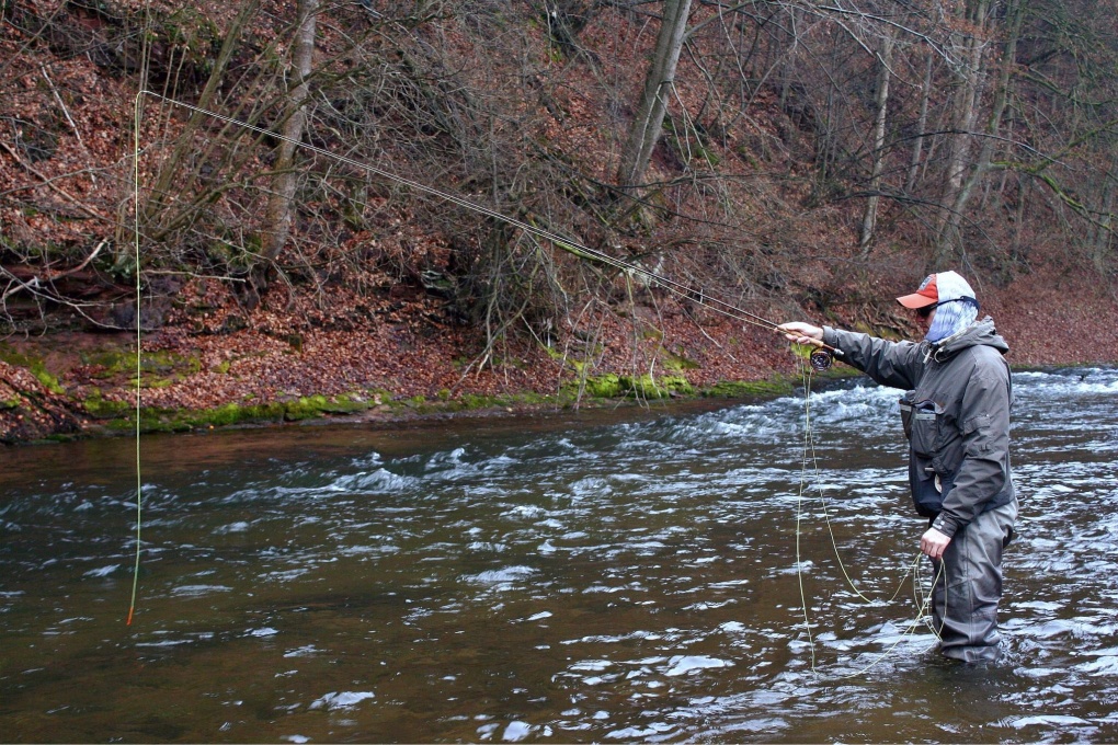 Concentrated fly-fisherman
