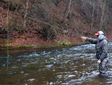 Concentrated fly-fisherman