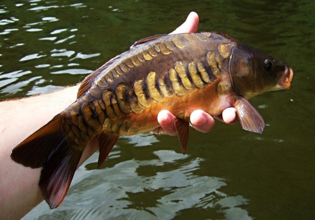 Small but absolutely gorgeous.