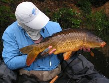 Sunshine carp "Masheer" - my favorite picture!